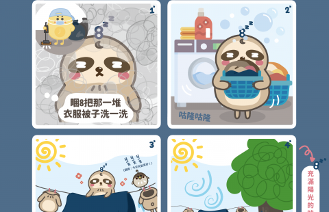 📰<睏8週報 vol.11 睡午覺>📰