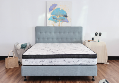 NEW 入門款 | 珍妮 JENNY