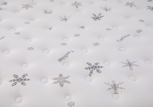 TAX SILVER™ 銀離子